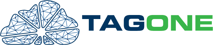 6399a0433f884815c9f0519e TagOne Logo